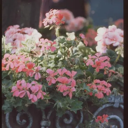 Unser Kleines Café Göbel