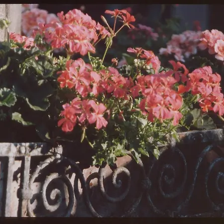 Unser Kleines Café Göbel