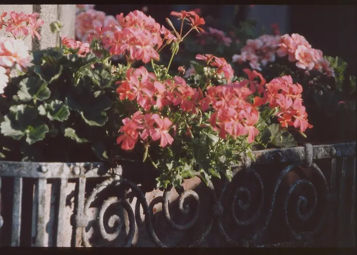 Unser Kleines Cafe Goebel